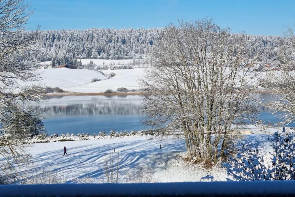 Duplex 6 Personnes, Vue Panoramique Sur Lac Malbuisson Extérieur photo